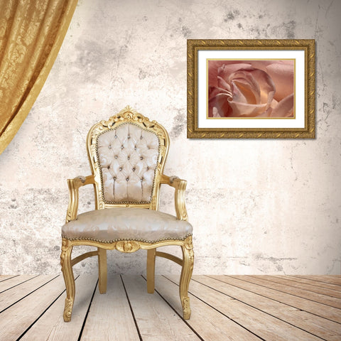 Heart of a Rose IX Gold Ornate Wood Framed Art Print with Double Matting by Crane, Rita