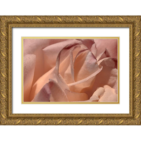 Heart of a Rose X Gold Ornate Wood Framed Art Print with Double Matting by Crane, Rita