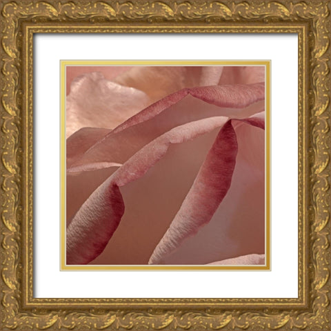 Heart of a Rose XII Gold Ornate Wood Framed Art Print with Double Matting by Crane, Rita