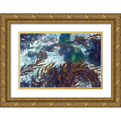 Mermaid Tresses I Gold Ornate Wood Framed Art Print with Double Matting by Crane, Rita