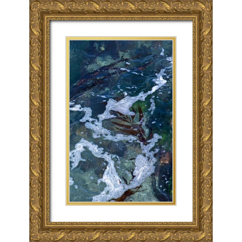 Seafoam IV Gold Ornate Wood Framed Art Print with Double Matting by Crane, Rita