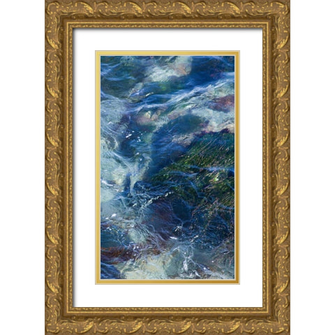 Tide Pool I Gold Ornate Wood Framed Art Print with Double Matting by Crane, Rita