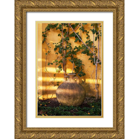 Riviera Garden Detail II Gold Ornate Wood Framed Art Print with Double Matting by Crane, Rita