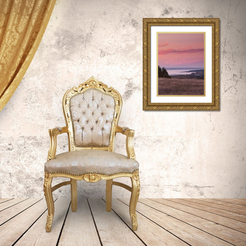 Rosy Coastal Sunset I Gold Ornate Wood Framed Art Print with Double Matting by Crane, Rita