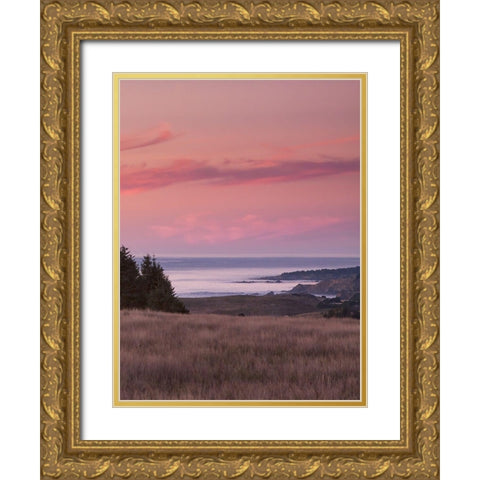 Rosy Coastal Sunset I Gold Ornate Wood Framed Art Print with Double Matting by Crane, Rita