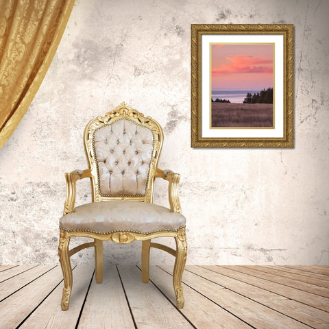 Rosy Coastal Sunset II Gold Ornate Wood Framed Art Print with Double Matting by Crane, Rita