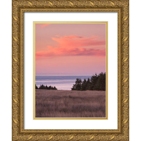 Rosy Coastal Sunset II Gold Ornate Wood Framed Art Print with Double Matting by Crane, Rita