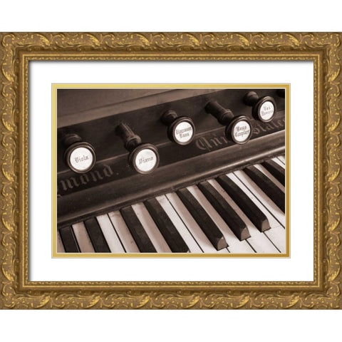 Organ I Gold Ornate Wood Framed Art Print with Double Matting by Christensen, Jim