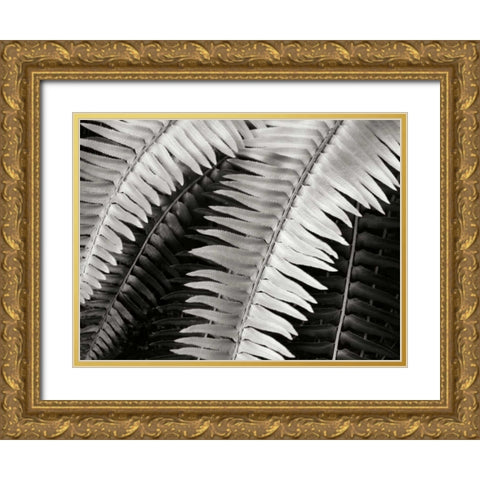 Fern I Gold Ornate Wood Framed Art Print with Double Matting by Christensen, Jim
