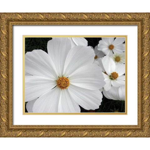 Cosmo Trail I Gold Ornate Wood Framed Art Print with Double Matting by Christensen, Jim