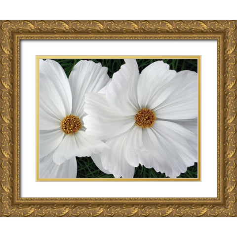 Cosmo Trail II Gold Ornate Wood Framed Art Print with Double Matting by Christensen, Jim