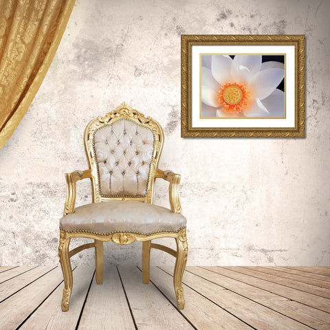 Lotus I Gold Ornate Wood Framed Art Print with Double Matting by Christensen, Jim