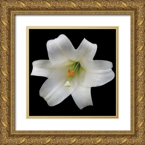 White Lily Gold Ornate Wood Framed Art Print with Double Matting by Christensen, Jim