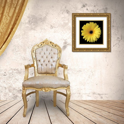 Yellow Gerbera Daisy Gold Ornate Wood Framed Art Print with Double Matting by Christensen, Jim