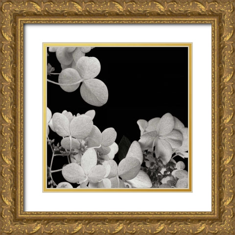 Flower Cluster 1 Gold Ornate Wood Framed Art Print with Double Matting by Christensen, Jim