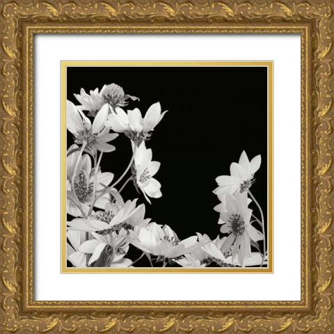 Flower Cluster 2 Gold Ornate Wood Framed Art Print with Double Matting by Christensen, Jim