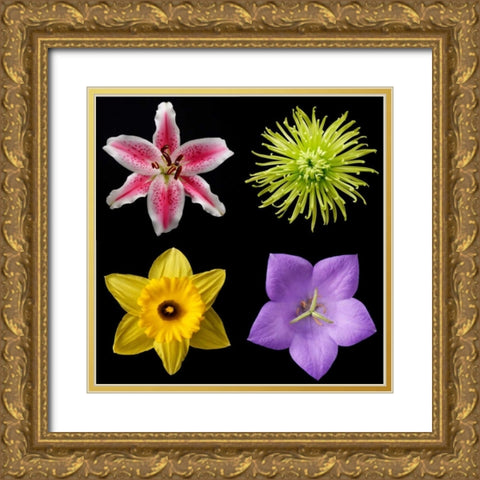 Flower Group 1 Gold Ornate Wood Framed Art Print with Double Matting by Christensen, Jim
