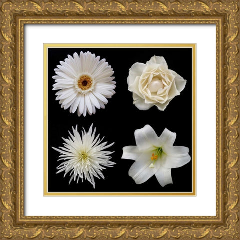 Flower Group 2 Gold Ornate Wood Framed Art Print with Double Matting by Christensen, Jim