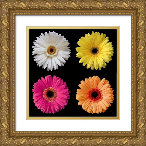 Gerber Group 1 Gold Ornate Wood Framed Art Print with Double Matting by Christensen, Jim