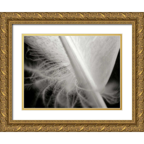 Feather I Gold Ornate Wood Framed Art Print with Double Matting by Christensen, Jim