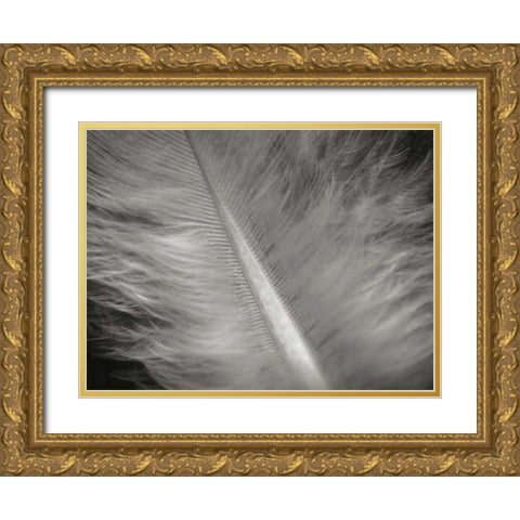 Feather II Gold Ornate Wood Framed Art Print with Double Matting by Christensen, Jim