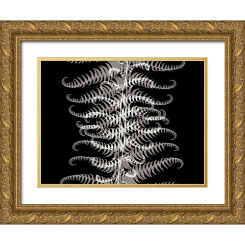 Ferns I Gold Ornate Wood Framed Art Print with Double Matting by Christensen, Jim