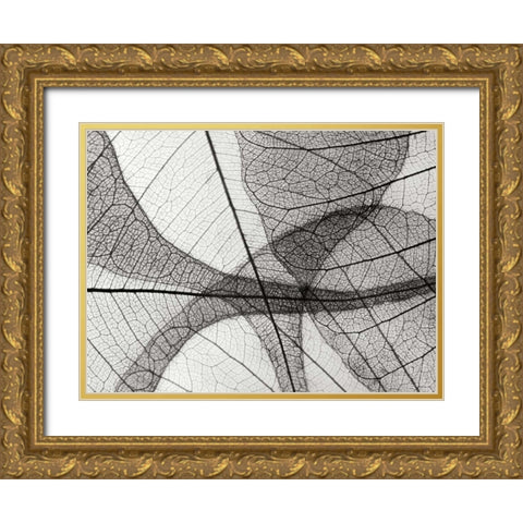 Leaf Designs I BW Gold Ornate Wood Framed Art Print with Double Matting by Christensen, Jim
