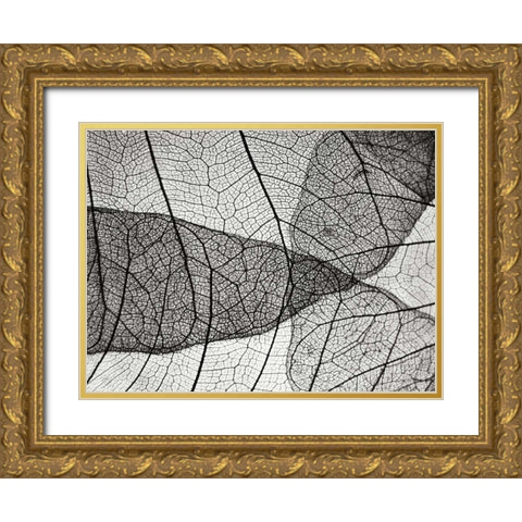 Leaf Designs II BW Gold Ornate Wood Framed Art Print with Double Matting by Christensen, Jim