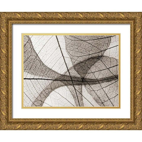 Leaf Designs I Sepia Gold Ornate Wood Framed Art Print with Double Matting by Christensen, Jim