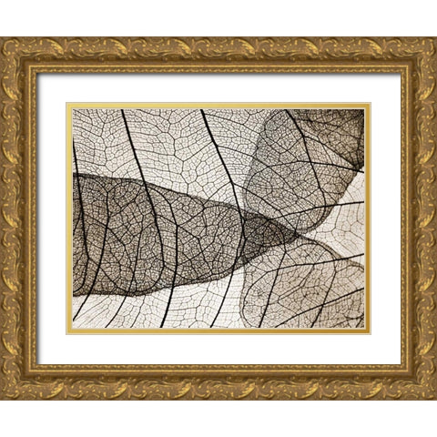 Leaf Designs II Sepia Gold Ornate Wood Framed Art Print with Double Matting by Christensen, Jim