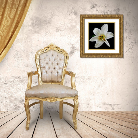 Lily on Black II Gold Ornate Wood Framed Art Print with Double Matting by Christensen, Jim