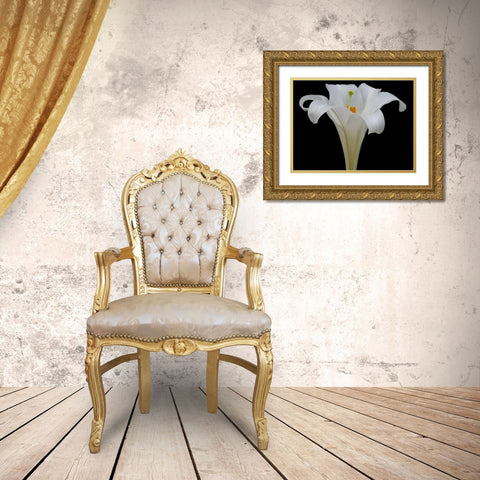Lily on Black IV Gold Ornate Wood Framed Art Print with Double Matting by Christensen, Jim