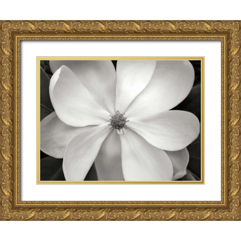 Magnolia I Gold Ornate Wood Framed Art Print with Double Matting by Christensen, Jim