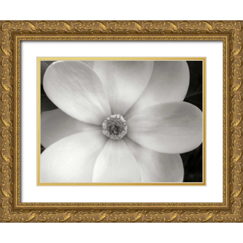 Magnolia II Gold Ornate Wood Framed Art Print with Double Matting by Christensen, Jim