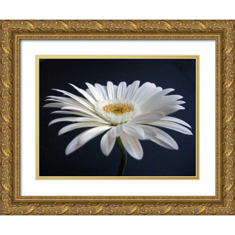Gerber Angle I Gold Ornate Wood Framed Art Print with Double Matting by Christensen, Jim