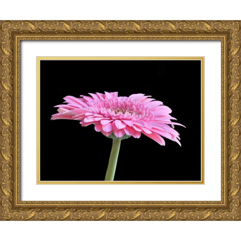 Gerber Angle III Gold Ornate Wood Framed Art Print with Double Matting by Christensen, Jim