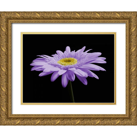 Gerber Angle IV Gold Ornate Wood Framed Art Print with Double Matting by Christensen, Jim