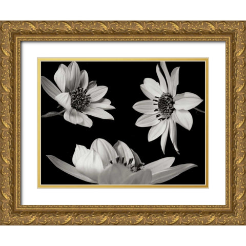 Trio I Gold Ornate Wood Framed Art Print with Double Matting by Christensen, Jim