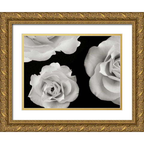 Trio II Gold Ornate Wood Framed Art Print with Double Matting by Christensen, Jim