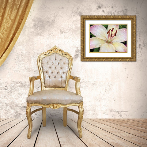 Flower After Rain I Gold Ornate Wood Framed Art Print with Double Matting by Christensen, Jim