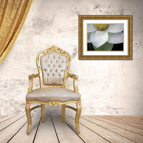 Macro Lotus Gold Ornate Wood Framed Art Print with Double Matting by Christensen, Jim