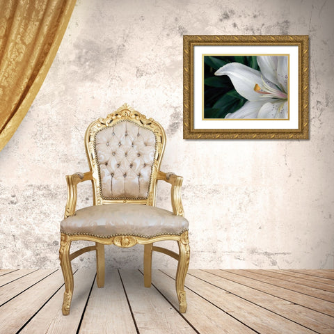 Macro Lily Gold Ornate Wood Framed Art Print with Double Matting by Christensen, Jim