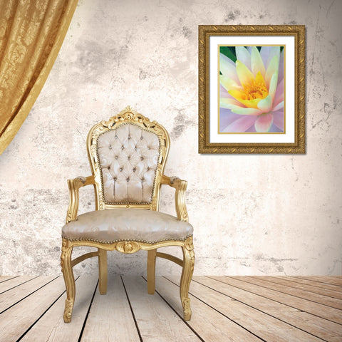Water Lily Gold Ornate Wood Framed Art Print with Double Matting by Christensen, Jim