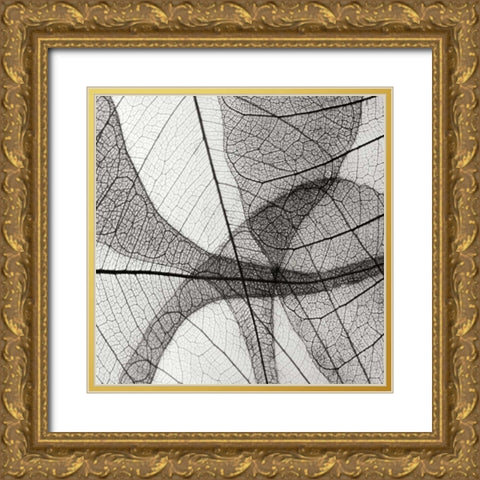Leaf Designs III BW Gold Ornate Wood Framed Art Print with Double Matting by Christensen, Jim