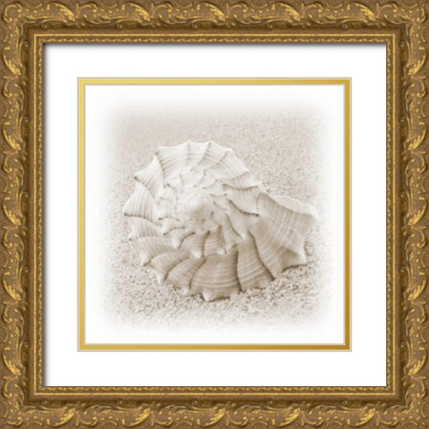 In the Sand I Gold Ornate Wood Framed Art Print with Double Matting by Christensen, Jim