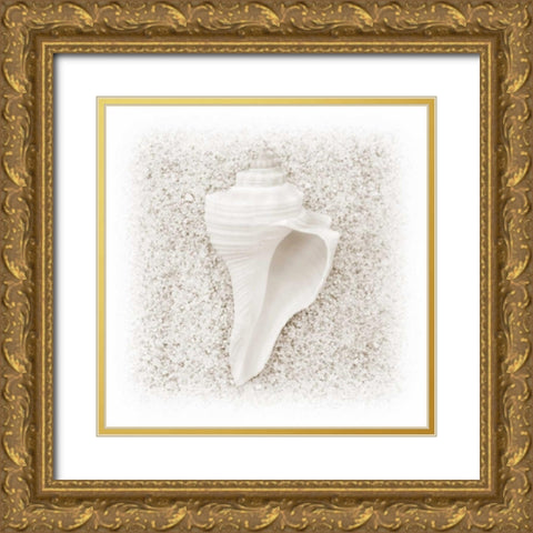 In the Sand IV Gold Ornate Wood Framed Art Print with Double Matting by Christensen, Jim