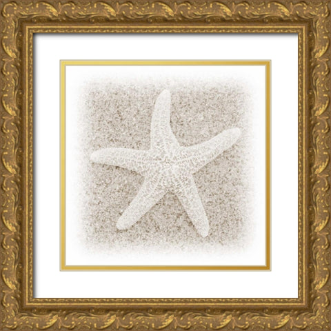 In the Sand V Gold Ornate Wood Framed Art Print with Double Matting by Christensen, Jim