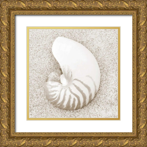 In the Sand VII Gold Ornate Wood Framed Art Print with Double Matting by Christensen, Jim