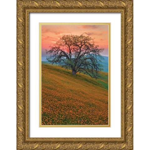 Rancheria Gold Ornate Wood Framed Art Print with Double Matting by Geistweite, Mark