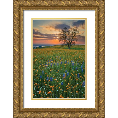 Bear Mountain Gold Ornate Wood Framed Art Print with Double Matting by Geistweite, Mark